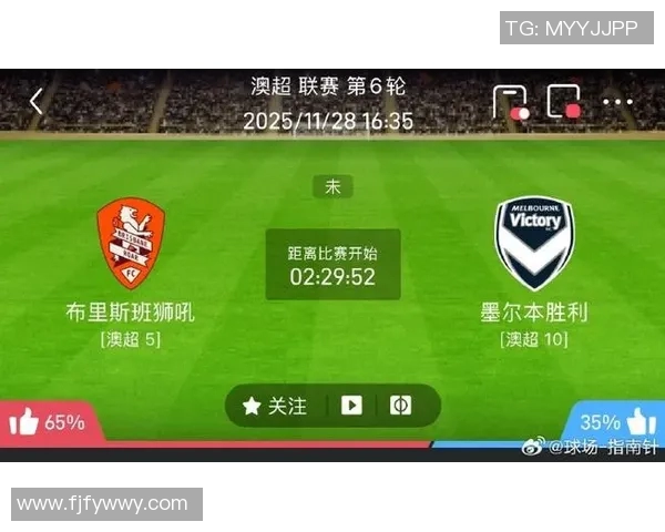 布里斯班与墨尔本激战正酣精彩赛事回顾与分析